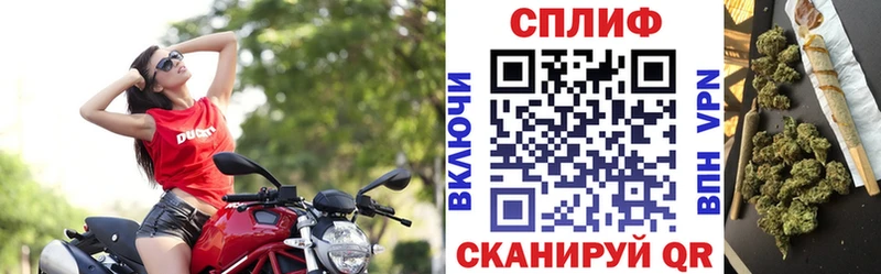 Купить Ершов Марихуана  Кодеин  ГАШИШ  Кокаин  мега ССЫЛКА  Метадон  СОЛЬ  АМФЕТАМИН  Псилоцибиновые грибы 