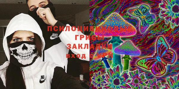 гидропоника Беломорск